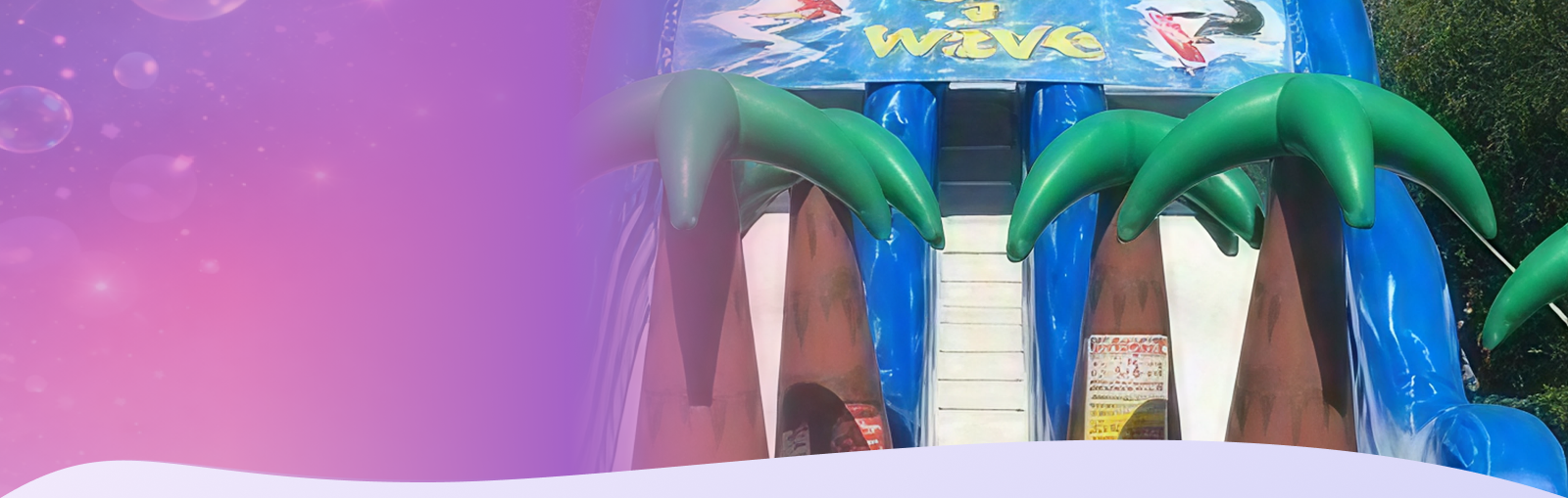 Birthday Party With Water Slides